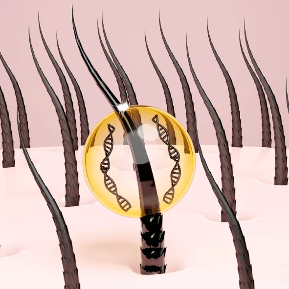 Nutrição e reparo celular